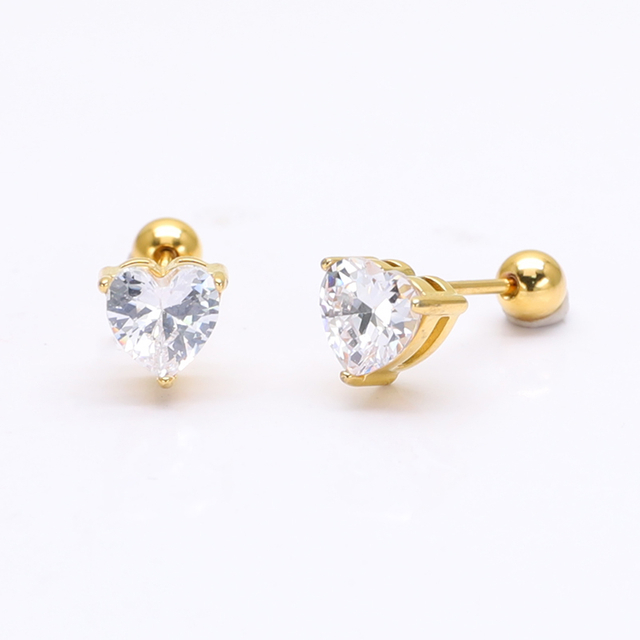 Boucle d'oreille en acier inoxydable
